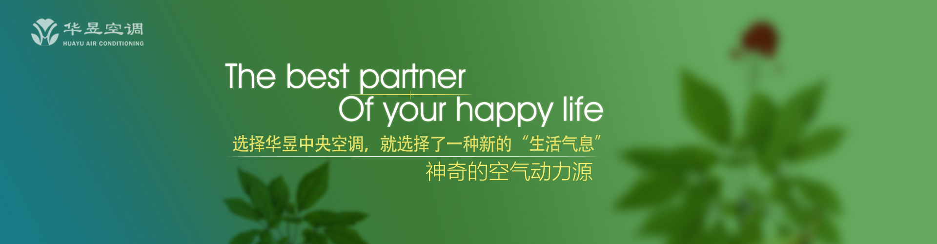 龙马精神网
